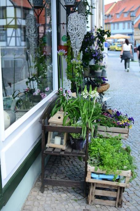 Schoene Ferienwohnung Mit Zwei Schlafzimmern Quedlinbourg Extérieur photo
